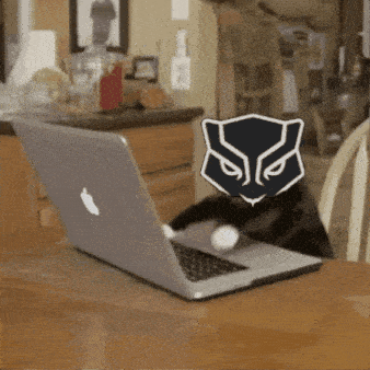 a cat with a black panther logo on its head sits in front of a laptop