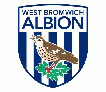 West Brom GIF - West Brom Albion GIFs