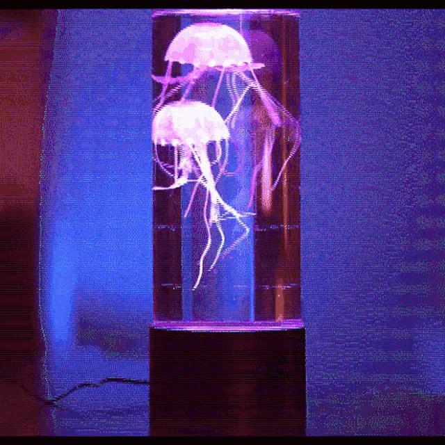 Jellyfish Lamp GIF - Jellyfish Lamp Light GIFs