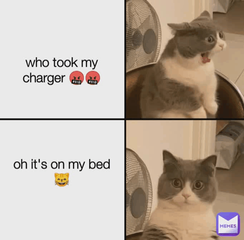 Cat Meme GIF - Cat Meme Argh GIFs