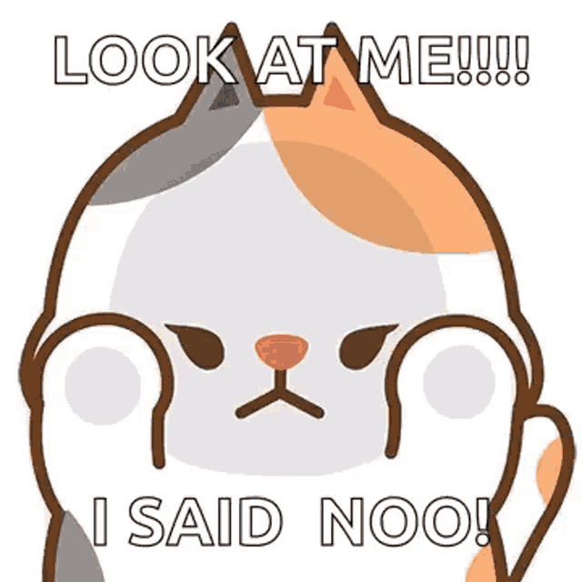 a calico cat is making a funny face and saying `` look at me ! ''