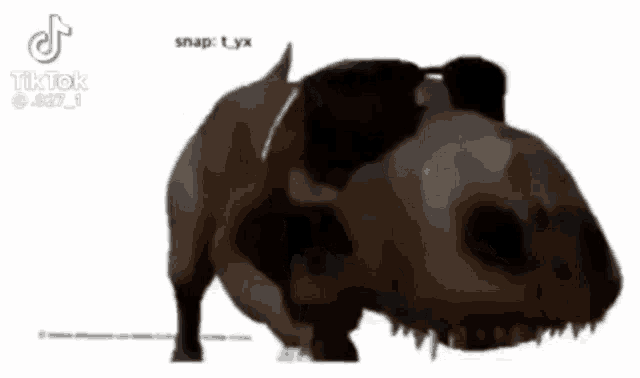 a hippopotamus is standing on its hind legs and looking at the camera .
