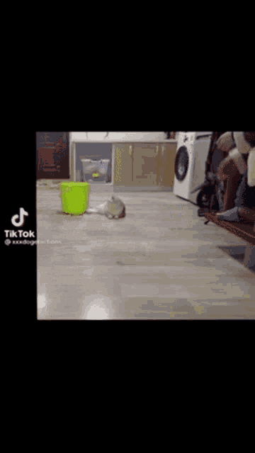 a cat is laying on the floor next to a green bucket in a kitchen .