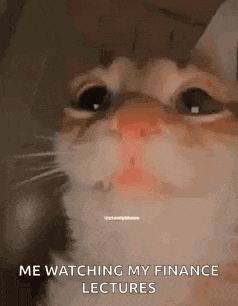 a cat is crying while watching his finance lectures .