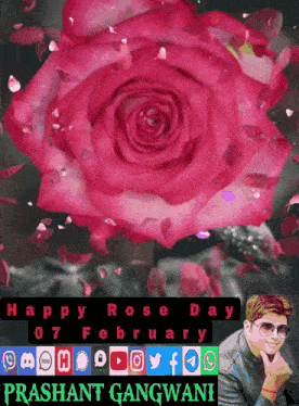 Happy Rose Day 7th February GIF - Happy Rose Day Rose Day 7th February GIFs