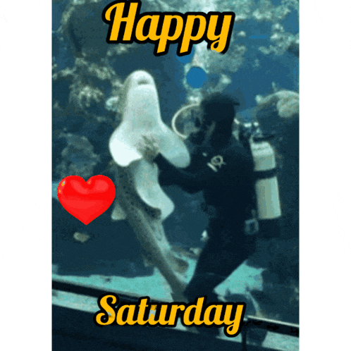 a picture of a scuba diver petting a shark with the words happy saturday
