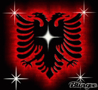 Shqipe GIF