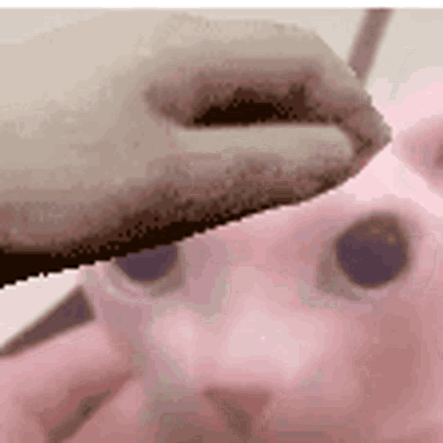 a close up of a person 's hand holding a pink cat .