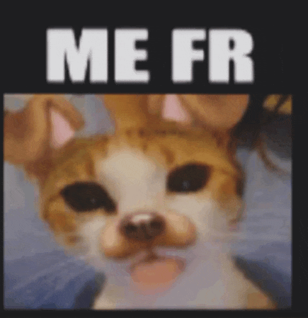 a close up of a dog with the words `` me fr '' above it .