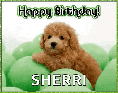 a brown poodle puppy is laying in a pile of green balloons and says happy birthday sherri