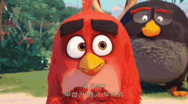 two angry birds are standing next to each other in a cartoon