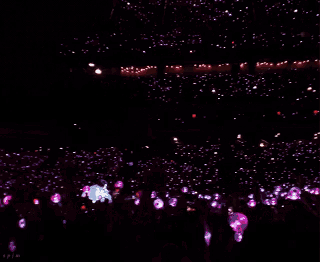 a crowd of people are gathered in a dark stadium with red lights