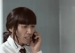 Pompam Phone Call GIF - Pompam Phone Call Hello Whos This GIFs