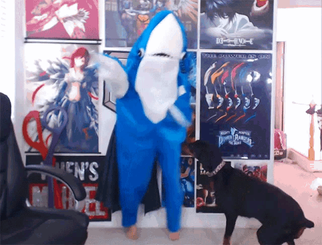 Dog Attack Stay Away GIF - Dog Attack Stay Away Shark Costume GIFs