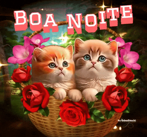 two kittens are sitting in a basket of red roses with the words boa noite written above them