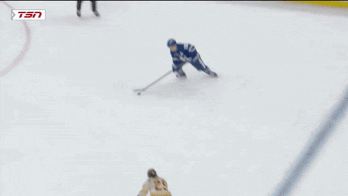 a hockey game is being played in front of a vistaprint sign