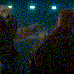 a polar bear with the words this clown is a level four on it