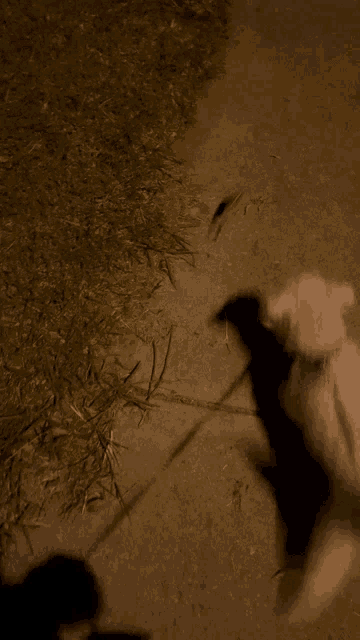 a shadow of a person is cast on the sidewalk in the dark