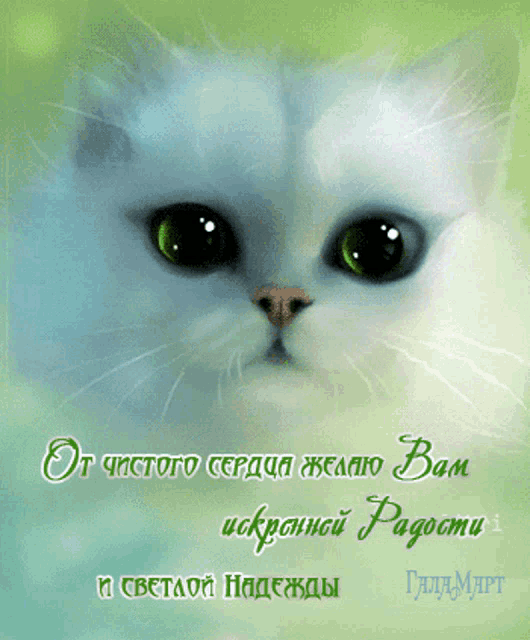 a white cat with green eyes is on a green background with russian text