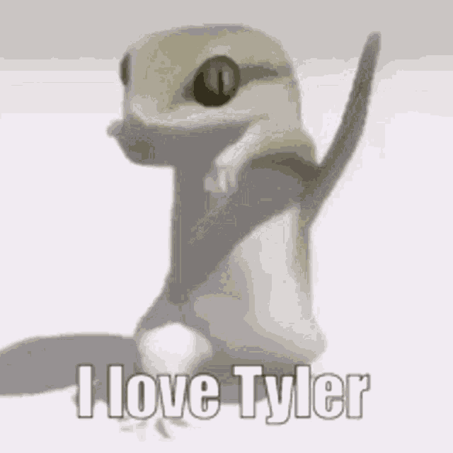 Tyler Lizard Dance I Love Tyler GIF - Tyler Lizard Dance I Love Tyler Tyler Fanclub GIFs