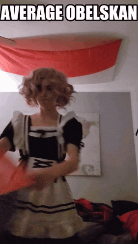a woman in a maid costume is standing in front of a red banner that says average obelskan