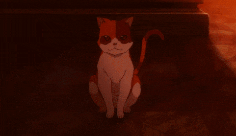 a red and white cat is sitting on a wooden floor