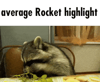 a raccoon is sitting at a table with the words average rocket highlighted above it