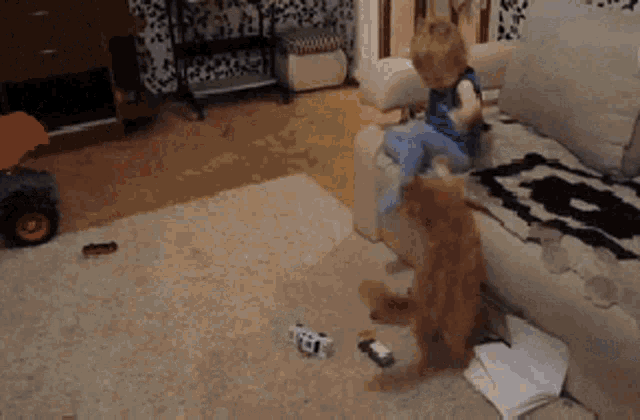 Cat Playing GIF - Cat Playing Get Back Here GIFs