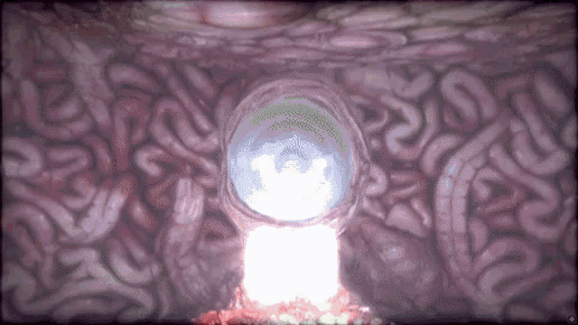 a computer generated image of a person 's brain