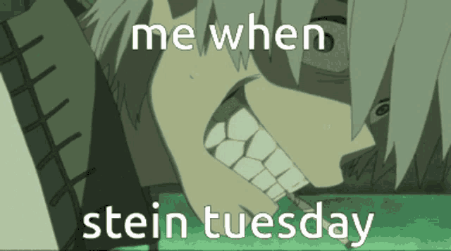 a picture of a cartoon character with the words " me when stein tuesday "