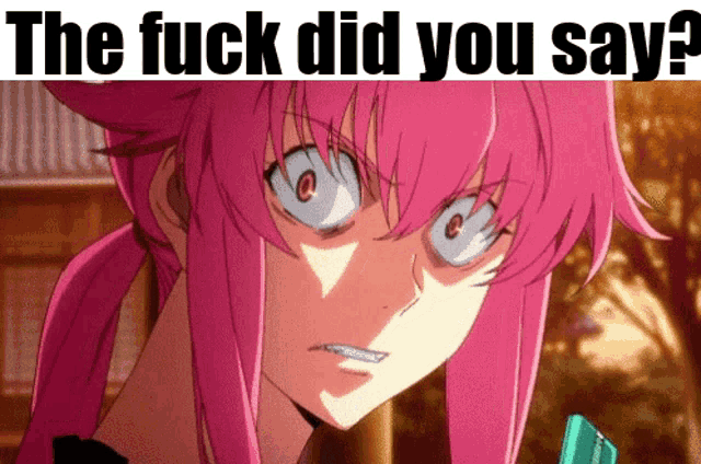 a picture of a girl with pink hair and a caption that says the fuck did you say ?