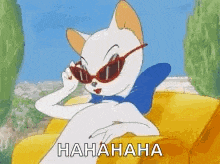 a cartoon cat wearing sunglasses is sitting on a couch .