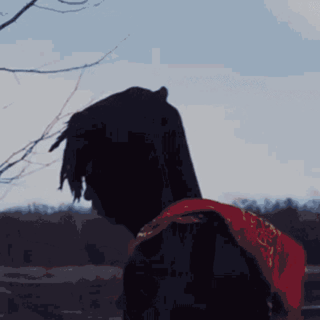 a person with a red bandana on their back is standing in front of a lake