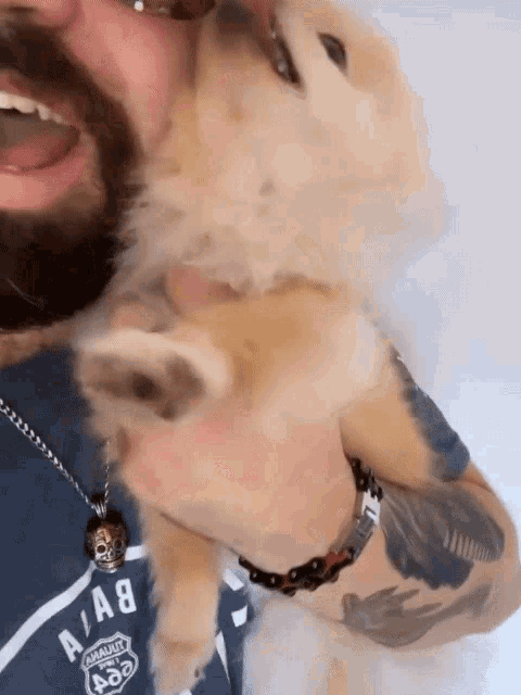 a man holding a small dog wearing a shirt that says a/a8 on it