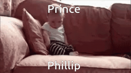 Prince Phillip Britt GIF - Prince Phillip Britt England GIFs