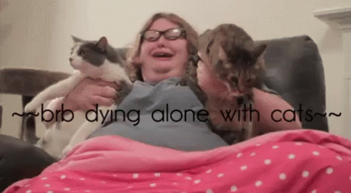 Forever Alone With Cats GIF - Br GIFs
