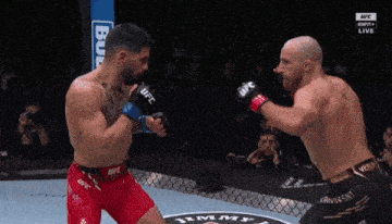 two men are fighting in a cage and one of them is wearing a pair of ufc gloves