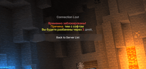 a screenshot of a game that says connection lost on it