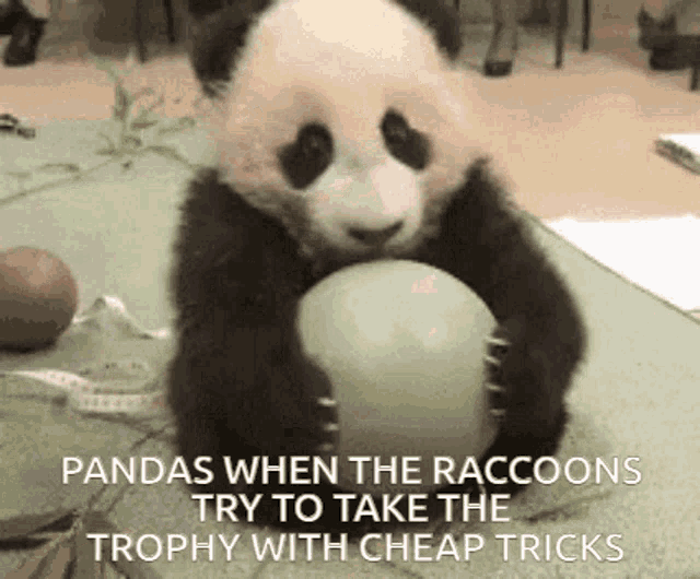 Panda Raccoon GIF - Panda Raccoon Baller GIFs