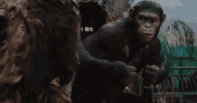Weeb Ape GIF - Weeb Ape Apes GIFs
