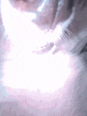 a close up of a cat 's fur with a light shining on it