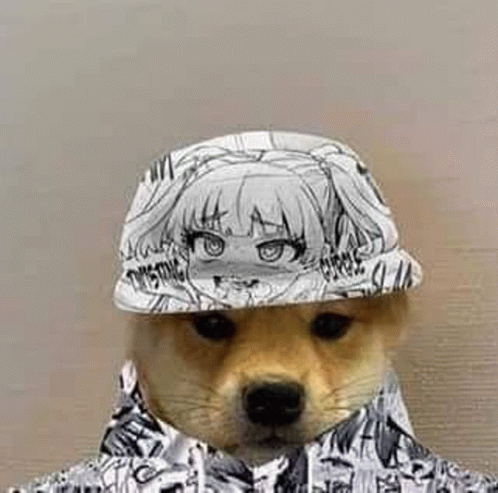 Memes Anime GIF - Memes Anime Momasos GIFs