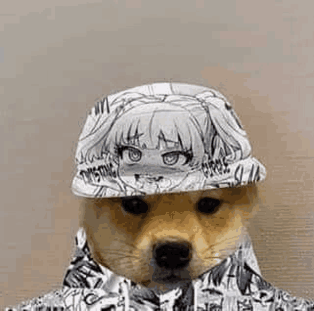 a dog wearing a hat with a girl on it and a jacket .