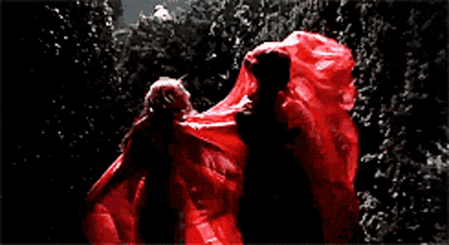 a woman in a red dress is standing next to a man in a black robe