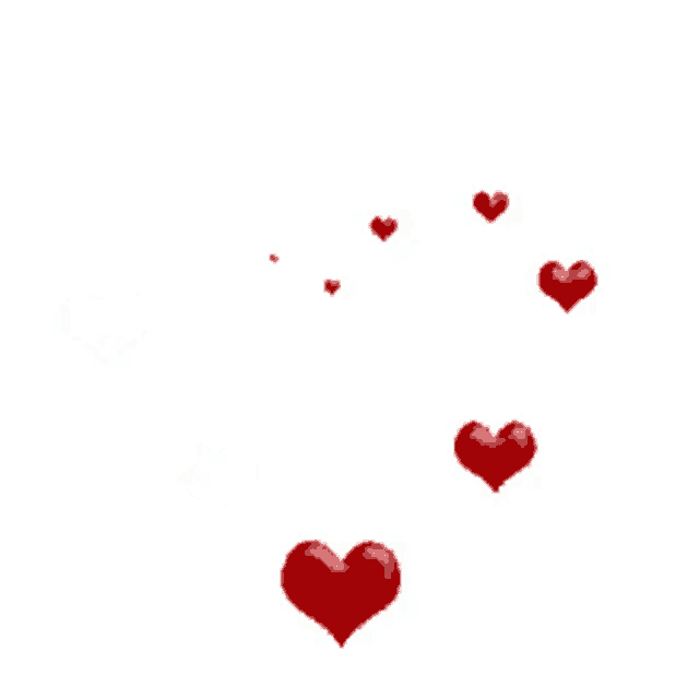 a bunch of red hearts are falling down on a white background .