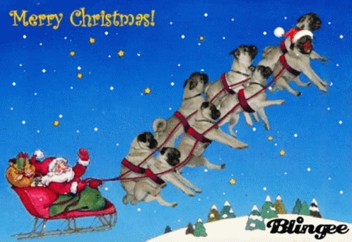 Pug Christmas GIF - Pug Christmas Merry Christmas GIFs