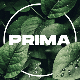 Prima GIF - Prima GIFs