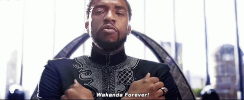 Black Panther Chadwick Boseman GIF - Black Panther Chadwick Boseman Wakanda Forever GIFs