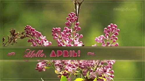 April Spring GIF - April Spring Flowers GIFs