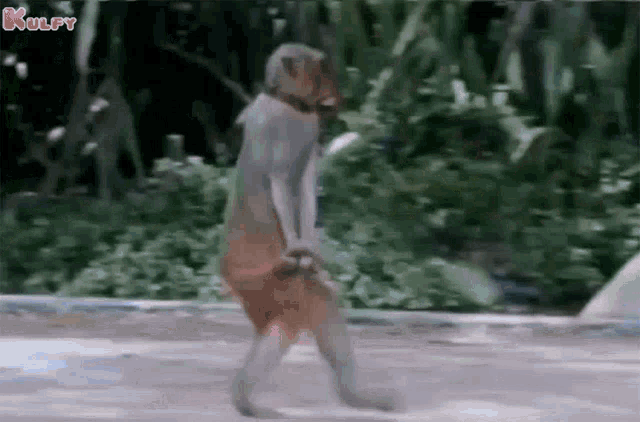 Monkey Fear GIF - Monkey Fear Bhayam GIFs